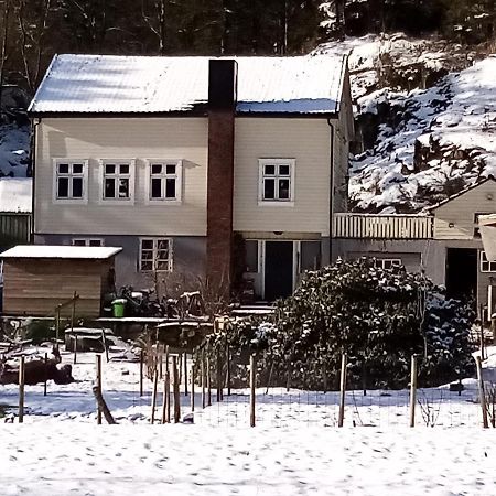 Stall Hav-Vik Farmstay Farsund Exterior photo