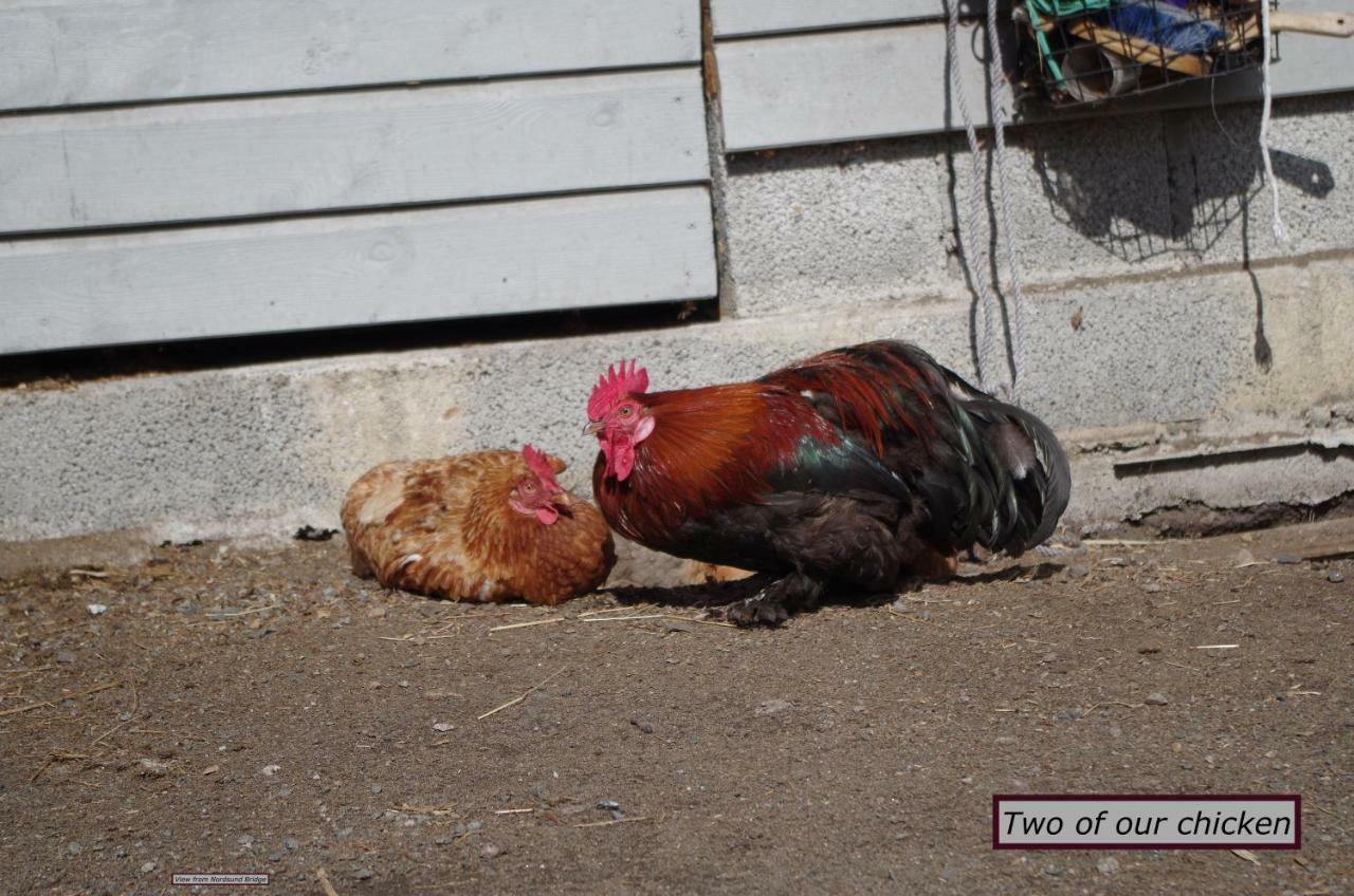 Stall Hav-Vik Farmstay Farsund Exterior photo